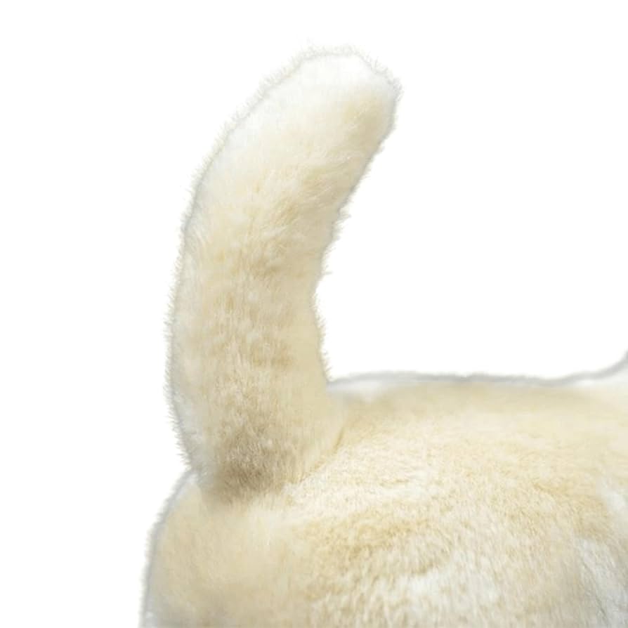 Amazon.co.jp: FRANKIEZHOU シミュレーションチワワ-10、犬の
